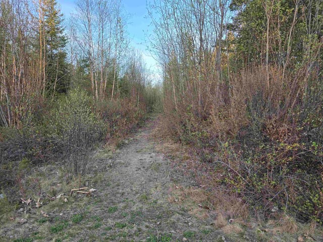 Lot for sale in Quesnel, Quesnel, PARCEL A Feldspar Avenue, 263118845 | Realtylink.org