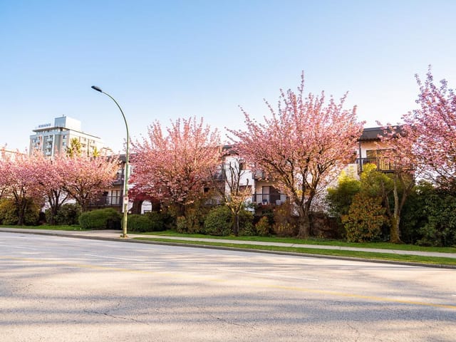 Apartment for sale in North Vancouver, North Vancouver, 208 211 W 3rd Street, 263119008 | Realtylink.org