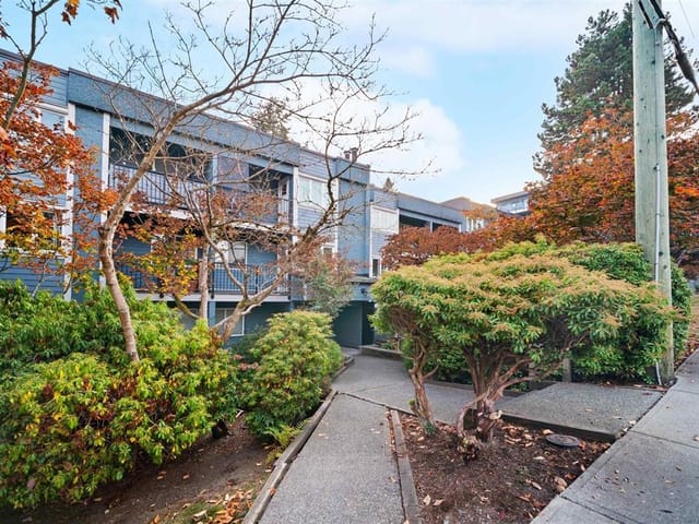 Apartment for sale in Coquitlam, Coquitlam, 210 1122 King Albert Avenue, 263119349 | Realtylink.org