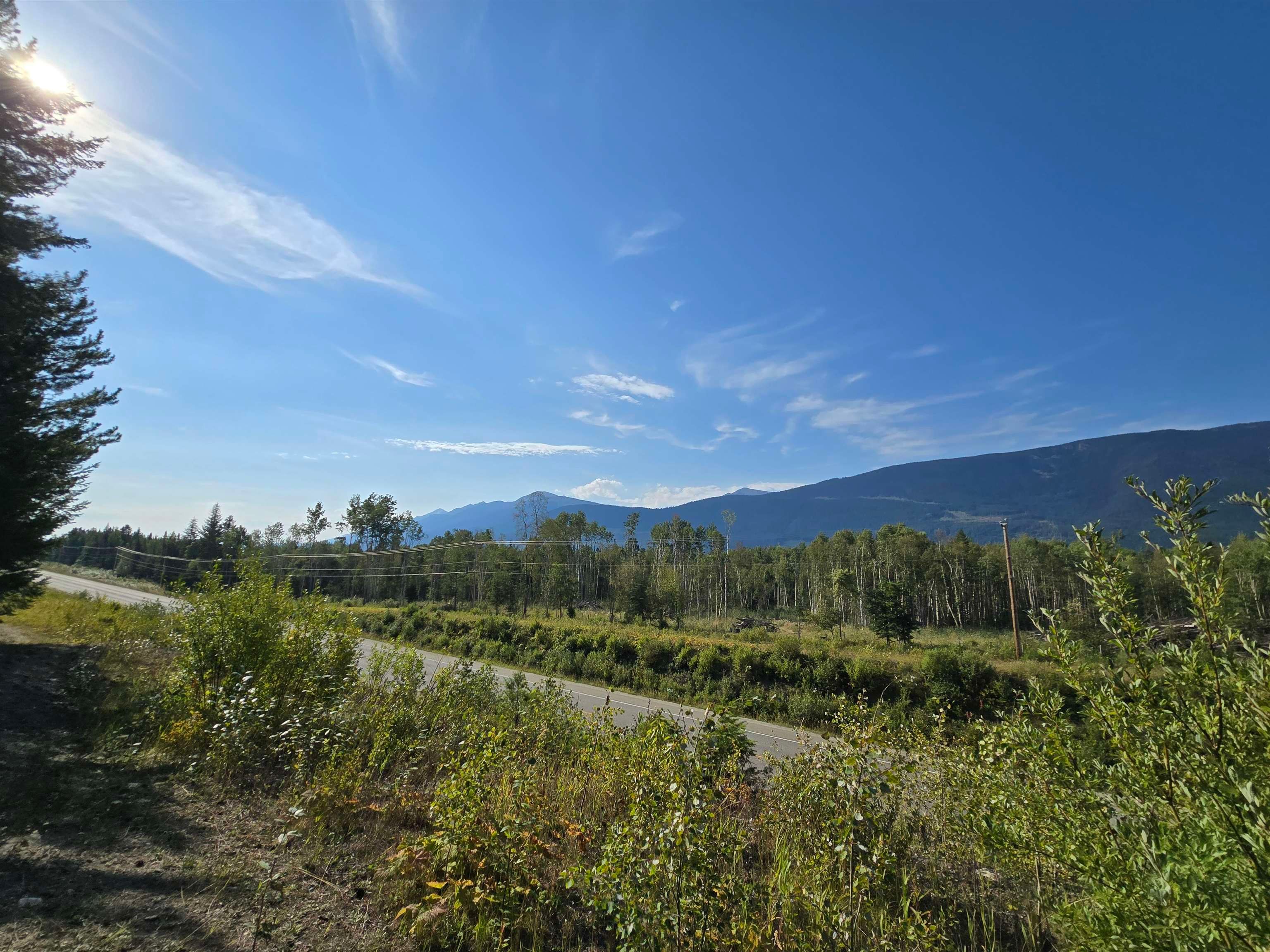 Lot for sale in Valemount, Robson Valley, 11328 E 16 Highway, 263119848 | Realtylink.org