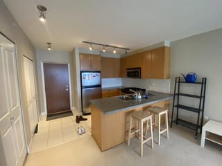 Apartment for rent in Burnaby, Burnaby North, 502 9222 University Crescent, 263119988 | Realtylink.org