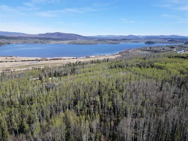Lot for sale in Fraser Lake, Vanderhoof And Area, Lot 1 Charlie Frontage Road, 263120122 | Realtylink.org