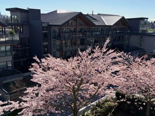 Apartment for sale in North Vancouver, North Vancouver, 404 1061 Marine Drive, 263120698 | Realtylink.org