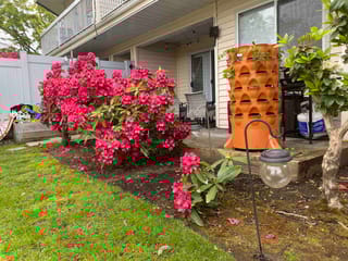 Apartment for sale in Surrey, Surrey, 103 9299 121 Street, 263120734 | Realtylink.org