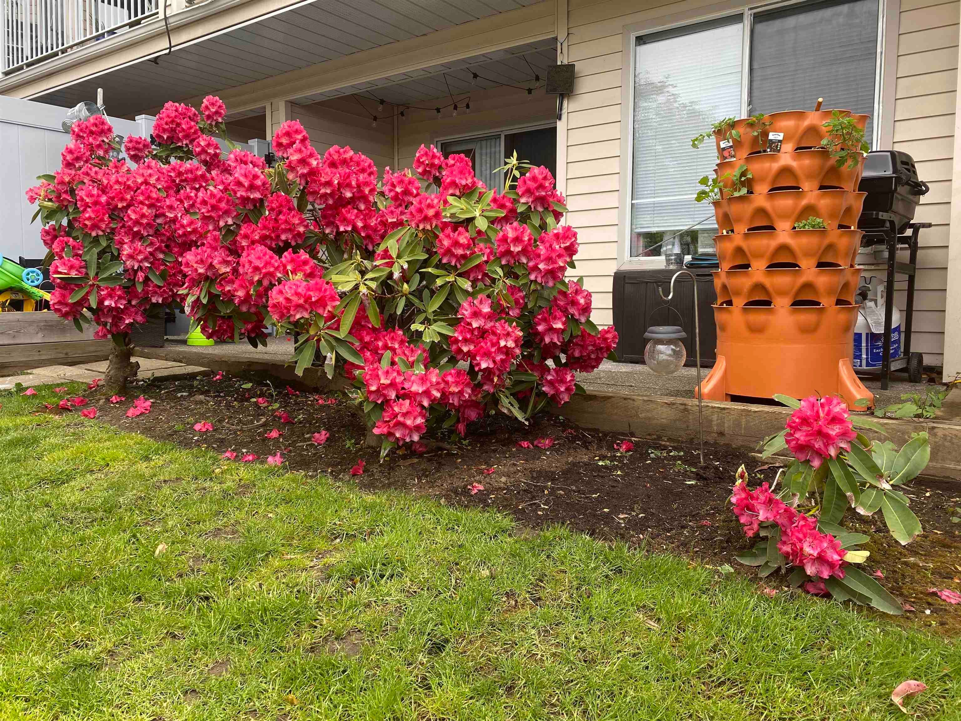 Apartment for sale in Surrey, Surrey, 103 9299 121 Street, 263120734 | Realtylink.org