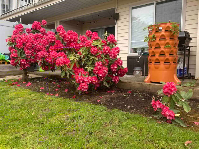 Apartment for sale in Surrey, Surrey, 103 9299 121 Street, 263120734 | Realtylink.org