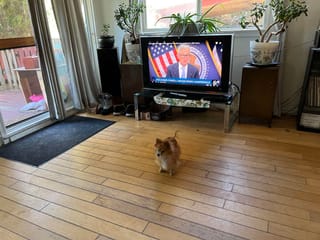 House for sale in Squamish, Squamish, 6 Bracken Parkway, 263121106 | Realtylink.org