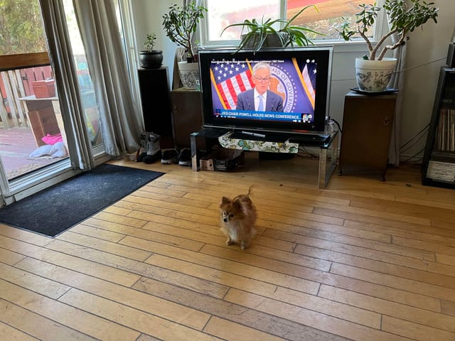 House for sale in Squamish, Squamish, 6 Bracken Parkway, 263121106 | Realtylink.org