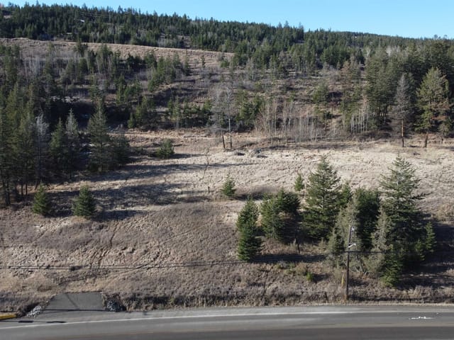 Lot for sale in Williams Lake, Williams Lake, 1327 South Lakeside Drive, 263121157 | Realtylink.org