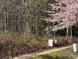 Lot for sale in Maple Ridge, Maple Ridge, 13395 237a Street, 263121388 | Realtylink.org