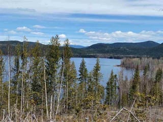 Lot for sale in Canim Lake, 100 Mile House, Dl2058 Sw1/4 Canim-Mahood Road, 263122025 | Realtylink.org