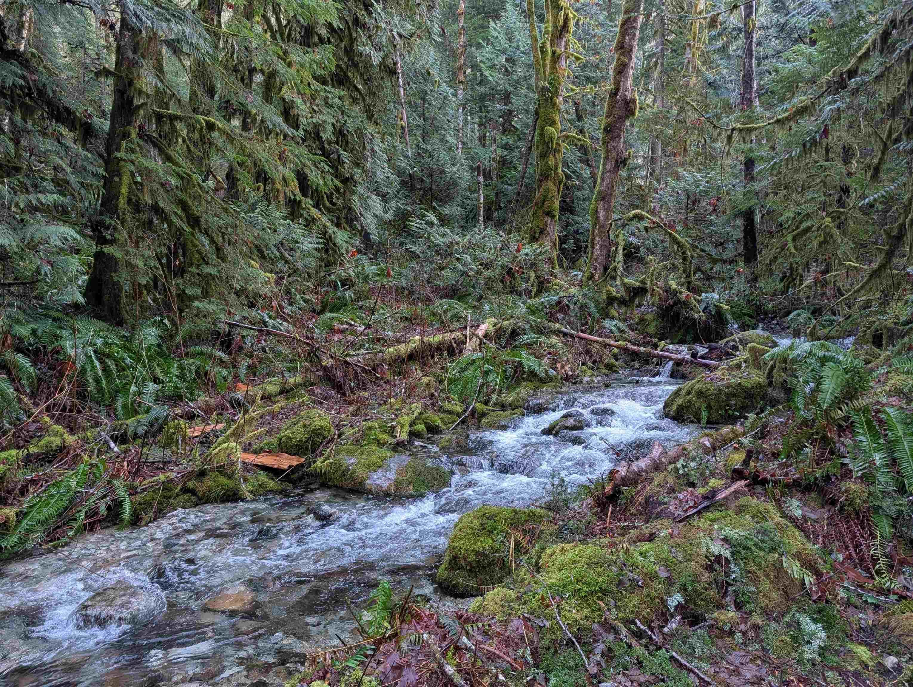 Lot for sale in Squamish, Squamish, 2045 N Rustad Road, 263122858 | Realtylink.org