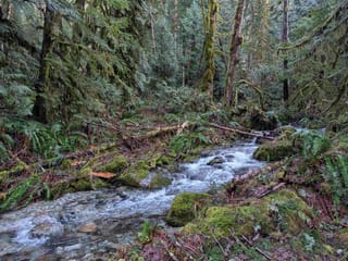 Lot for sale in Squamish, Squamish, 2045 N Rustad Road, 263122858 | Realtylink.org