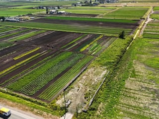 Lot for sale in Surrey, Cloverdale, 4179 176 Street, 263123126 | Realtylink.org