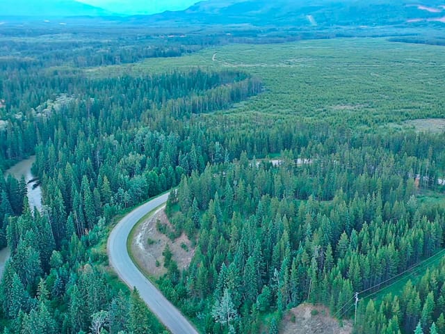 Lot for sale in Valemount, Robson Valley, LOT 4 Crooked Creek Road, 263123614 | Realtylink.org