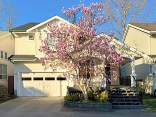 House for sale in Pitt Meadows, Pitt Meadows, 11888 Springdale Drive, 263123659 | Realtylink.org