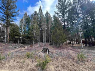 Lot for sale in 100 Mile House, 100 Mile House, 6431 Lambley Road, 263123703 | Realtylink.org