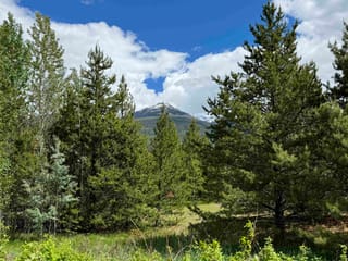 Lot for sale in Valemount, Robson Valley, LOT 2 Starview Road, 263124110 | Realtylink.org