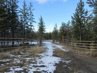 Lot for sale in Lone Butte, 100 Mile House, LOT B Lone Butte Horse Lake Road, 263124181 | Realtylink.org