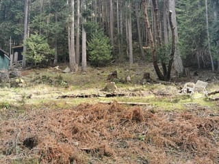 Lot for sale in Mayne Island, Islands-Van. & Gulf, Lot 25 Wood Dale Drive, 263124594 | Realtylink.org
