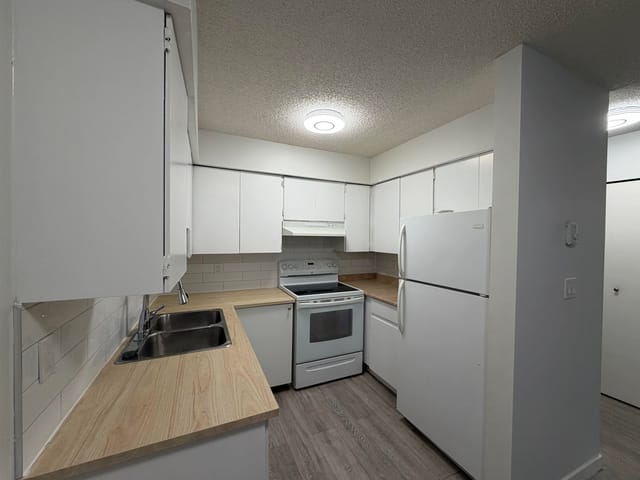 Apartment for sale in Port Coquitlam, Port Coquitlam, 303 1948 Coquitlam Avenue, 263124805 | Realtylink.org