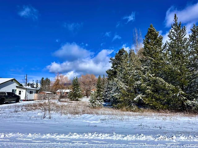 Lot for sale in Valemount, Robson Valley, 1022 7th Avenue, 263124928 | Realtylink.org