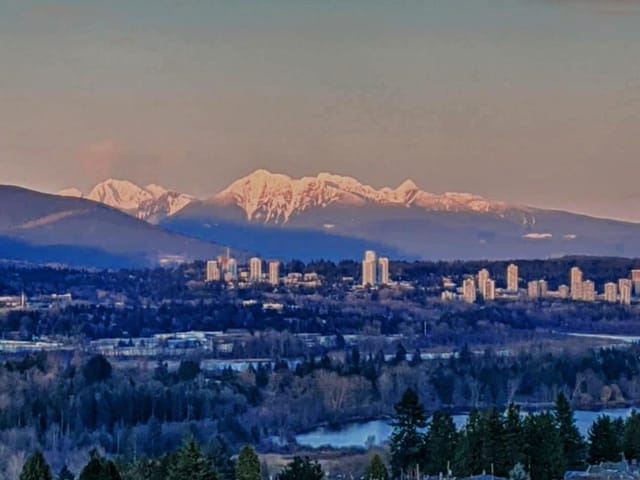 Apartment for sale in Burnaby, Burnaby South, 1703 4505 Hazel Street, 263125159 | Realtylink.org