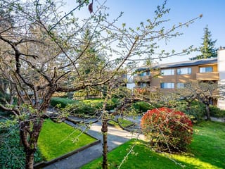 Apartment for sale in Richmond, Richmond, 254 7293 Moffatt Road, 263125195 | Realtylink.org