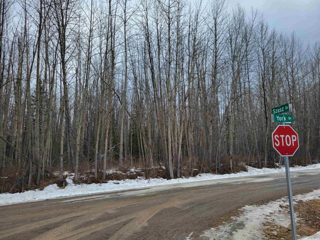 Lot for sale in Vanderhoof, Vanderhoof And Area, Lot 28 York Drive, 263125827 | Realtylink.org