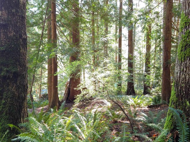 Lot for sale in Keats Island, Sunshine Coast, Lot 5 Gavin Road, 263125890 | Realtylink.org