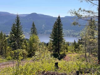 Lot for sale in Canim Lake, 100 Mile House, 7213 Summit Drive, 263126040 | Realtylink.org