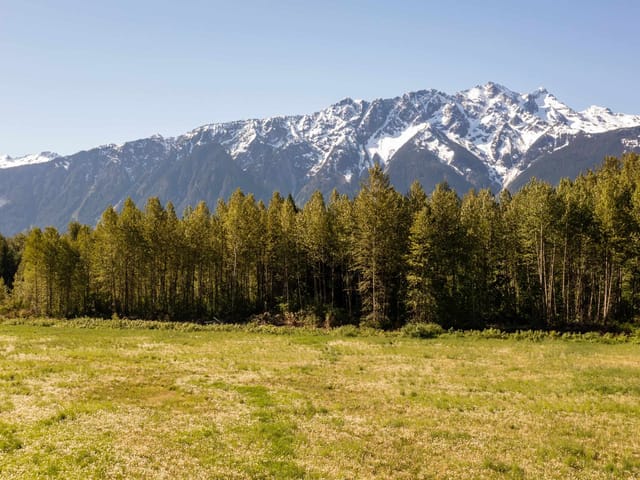 Lot for sale in Pemberton, Pemberton, Lot 1 Pemberton Farm Road, 263126138 | Realtylink.org