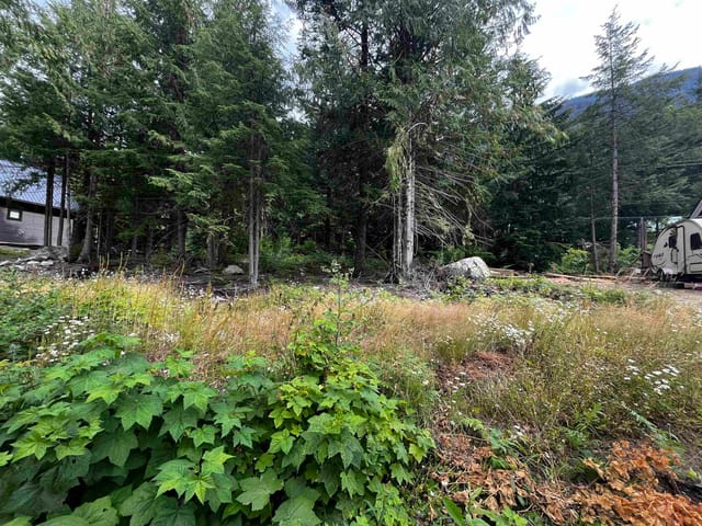 Lot for sale in Sunshine Valley, Hope & Area, Hg136 Old Hope Princeton Highway, 263126284 | Realtylink.org