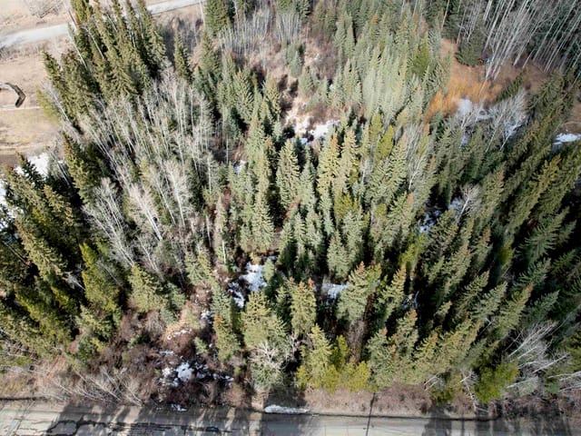 Lot for sale in Horse Lake, 100 Mile House, 6399 Lambley Road, 263126435 | Realtylink.org