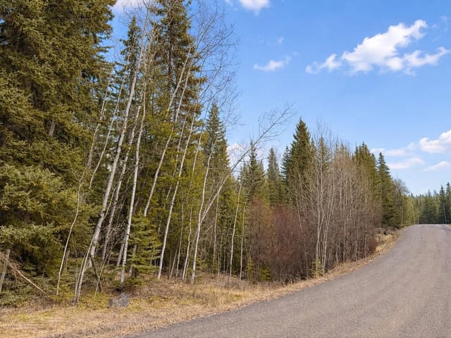 Lot for sale in Horse Lake, 100 Mile House, 6399 Lambley Road, 263126435 | Realtylink.org