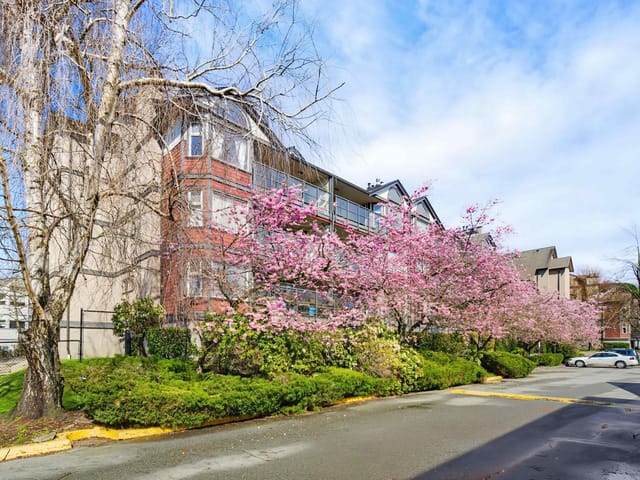 Apartment for sale in Delta, Ladner, D205 4845 53 Street, 263126508 | Realtylink.org