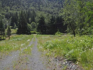 Lot for sale in Columbia Valley, Cultus Lake & Area, 43751 Frost Road, 263126527 | Realtylink.org
