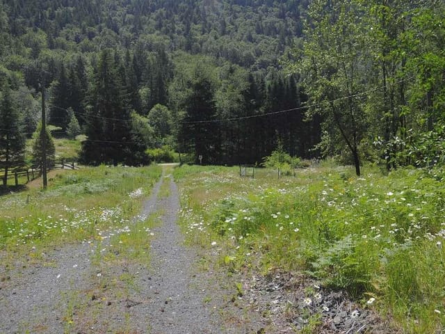Lot for sale in Columbia Valley, Cultus Lake & Area, 43751 Frost Road, 263126527 | Realtylink.org