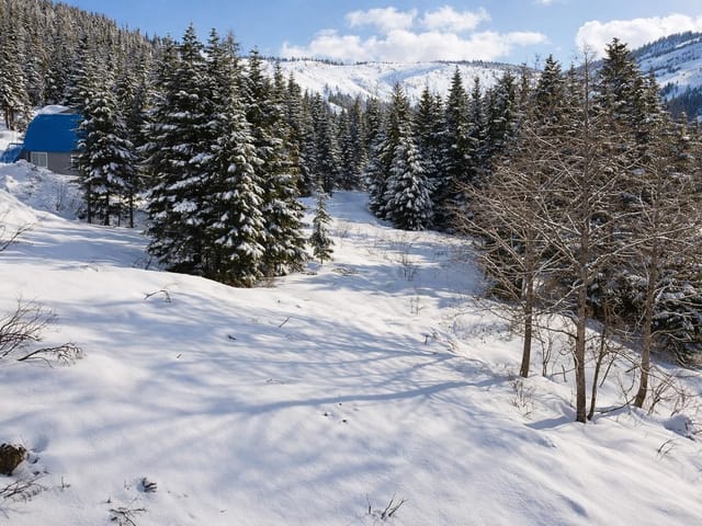 Lot for sale in Agassiz, Mission, 20418 Edelweiss Drive, 263126788 | Realtylink.org