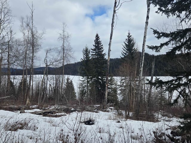 Lot for sale in Lone Butte, 100 Mile House, 5858 Mahood Lake Road, 263127151 | Realtylink.org