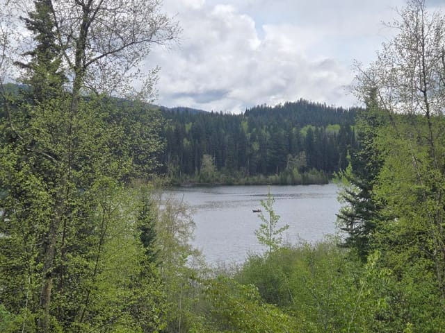 Lot for sale in Lone Butte, 100 Mile House, 5858 Mahood Lake Road, 263127151 | Realtylink.org