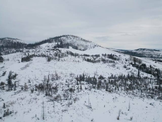 Lot for sale in Burns Lake, Burns Lake, Spicer Road, 263127234 | Realtylink.org