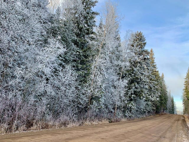 Lot for sale in Prince George, PG City West, 1475 Kueng Road, 263127422 | Realtylink.org