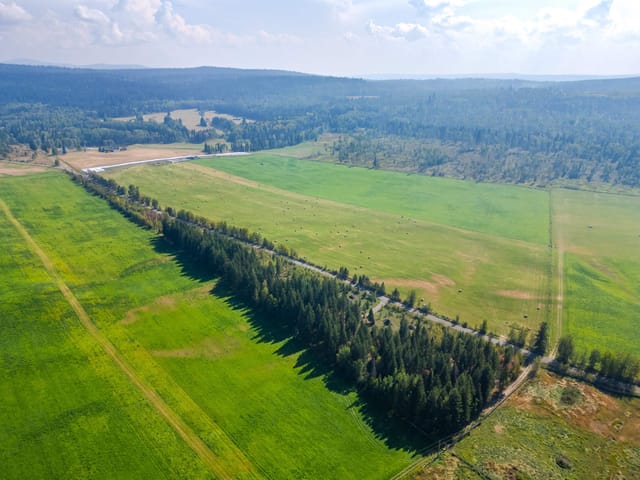 Lot for sale in Forest Grove, 100 Mile House, 6355 Bates Road, 263128195 | Realtylink.org