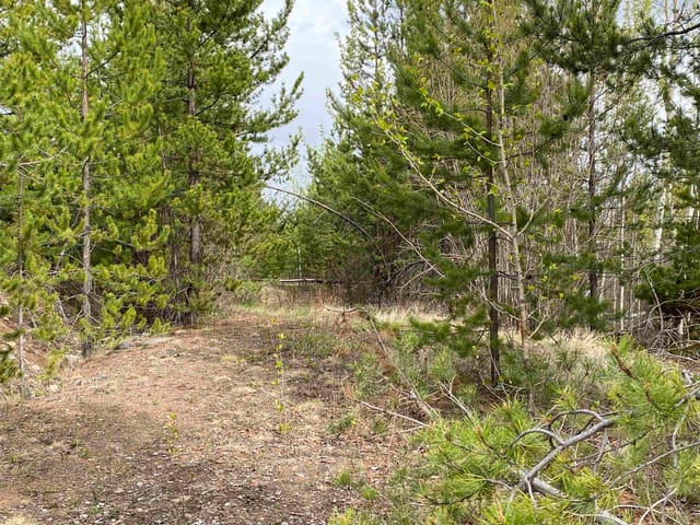 Lot for sale in 100 Mile House, 100 Mile House, Blk a 94 Mile Frontage Road, 263128337 | Realtylink.org