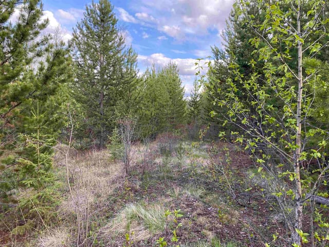 Lot for sale in 100 Mile House, 100 Mile House, Blk C 94 Mile Frontage Road, 263128351 | Realtylink.org