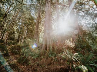 Recreational Property for sale in Sechelt, Sunshine Coast, 5735 Naylor Road, 263128390 | Realtylink.org