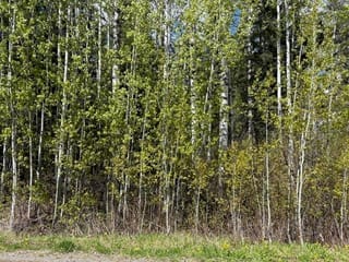 Lot for sale in Bridge Lake, 100 Mile House, Lot 26 Boultbee Road, 263128446 | Realtylink.org