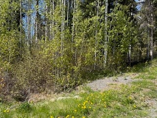 Lot for sale in Bridge Lake, 100 Mile House, Lot 26 Boultbee Road, 263128446 | Realtylink.org