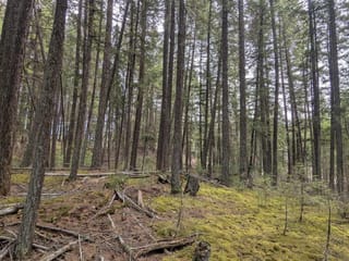 Lot for sale in Canim Lake, 100 Mile House, Lot 3 Summit Road, 263128479 | Realtylink.org